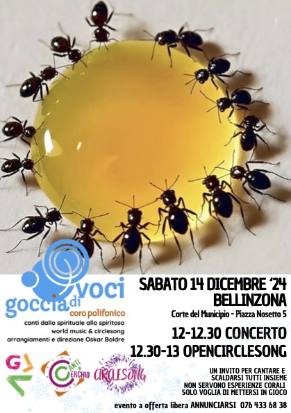 GDV e OPENCIRCLE 14 12 24 Bellinzona